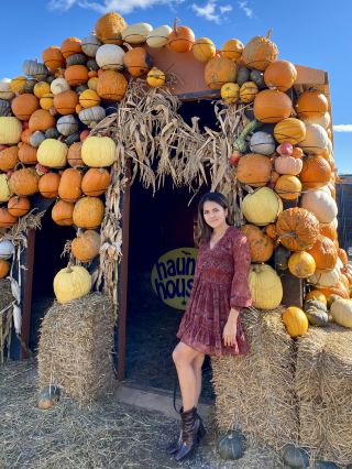 Pumpkinville Toronto 