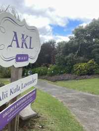 Discover the Serenity of Ali‘i Kula Lavender Farm – Maui’s Hidden Gem