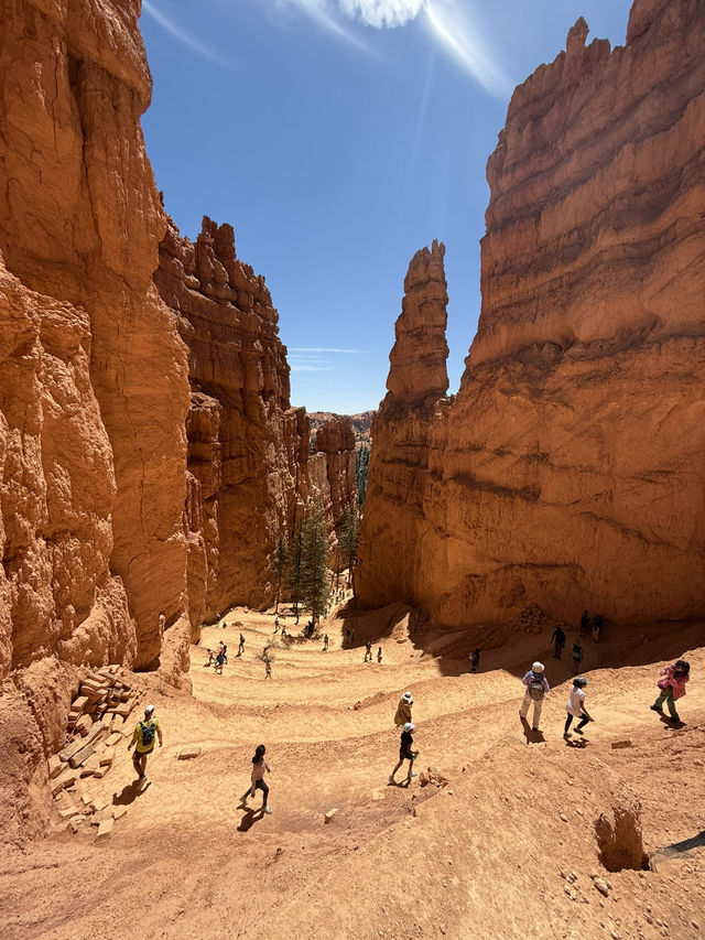 The palace - Bryce Canyon 
