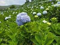 Must see in Dalat Vietnam