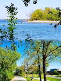 到 Lake Mendota(門多塔湖)徒步
