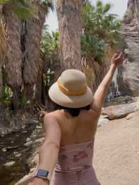 come and see the desert oasis！！