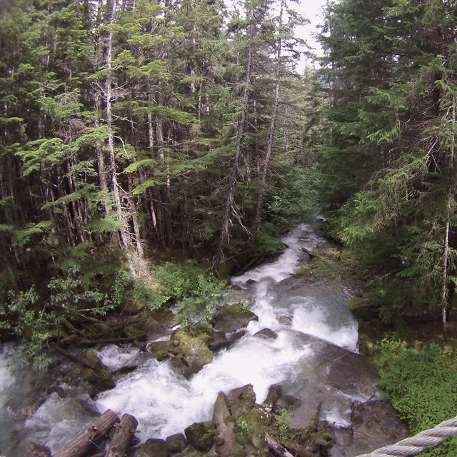 Princess Cruise to Alaska and Canada 🛳️🛳️🛳️