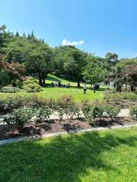 Vancouver한인타운 근처에 한번쯤 꼭 가볼만한 Burnaby Mountain Park👍🏻