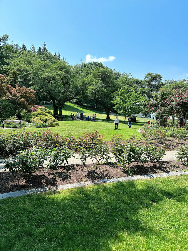 Vancouver한인타운 근처에 한번쯤 꼭 가볼만한 Burnaby Mountain Park👍🏻