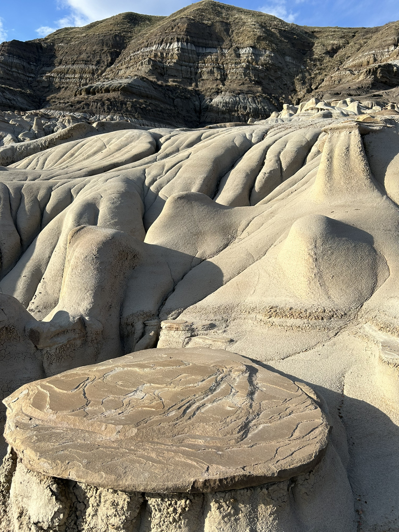 Calgary to Drumheller: A Short Trip