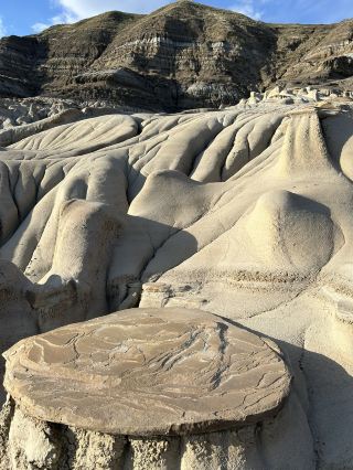 Calgary to Drumheller: A Short Trip