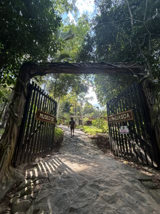 🪷The world's first Ayahuasca museum🇵🇪Peru [Tarapoto]