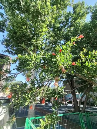 ゆっくりと進む乗り物に揺られ、窓の景色が少しずつ流れていき、見慣れた街並みから全く見知らぬ光景へと移り変わっていくと、心には。