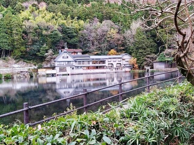 🏞欣賞湖面晨霧@大分縣