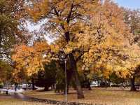 City Park Városliget Budapest in autumn 🗺️ 