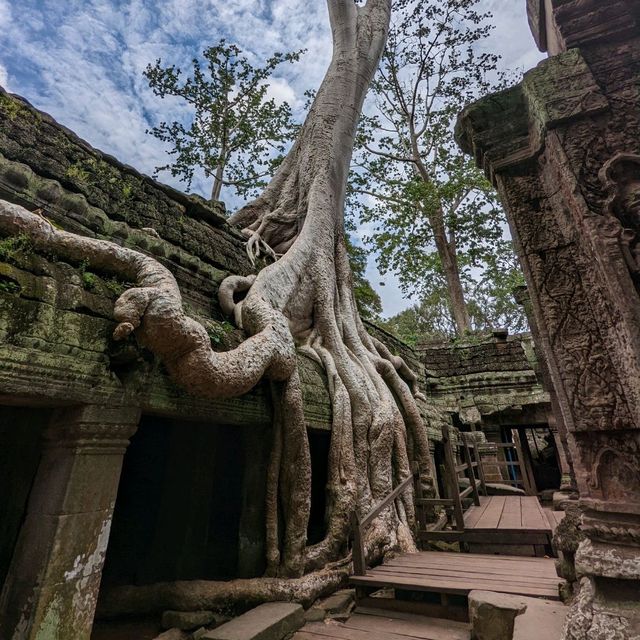 Tomb raider vibes at Angkor Wat