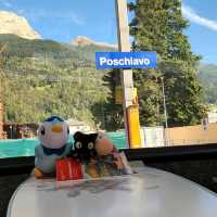 All on board the Bernina Express!