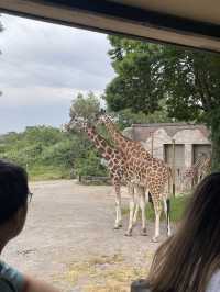 新設新園區 Chessington World of Adventures 切斯頓冒險世界