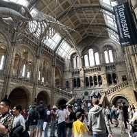 Free museum and definitely go tho packed