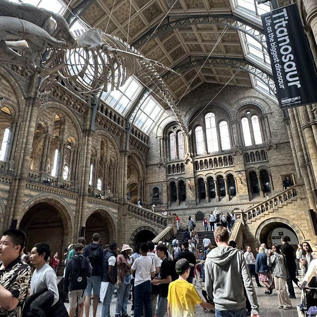 Free museum and definitely go tho packed