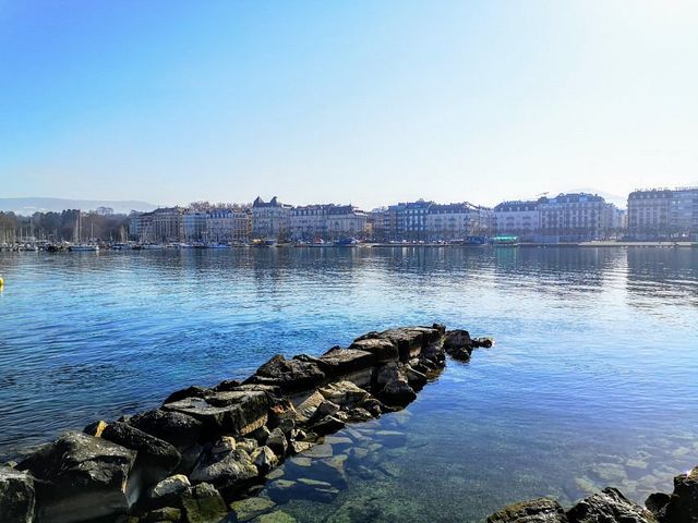 Tranquil Retreat in Lake Geneva 🏔️