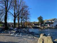 Lakeside Whispers: A Day Bowness-on-Windermer