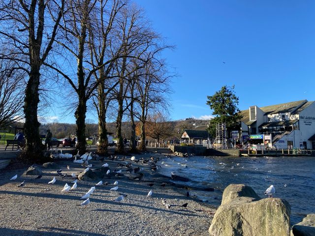 Lakeside Whispers: A Day Bowness-on-Windermer