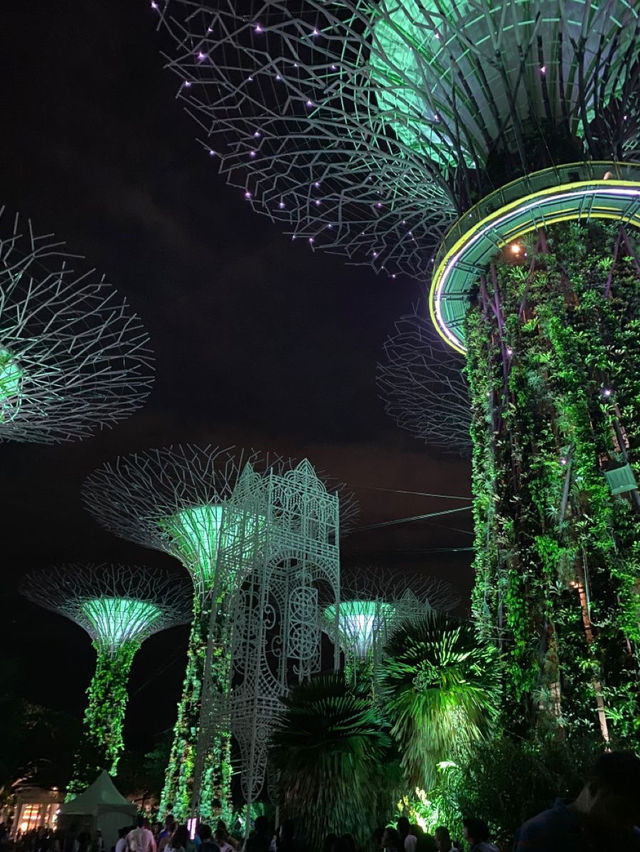 Singapore: The Lion City's Roar