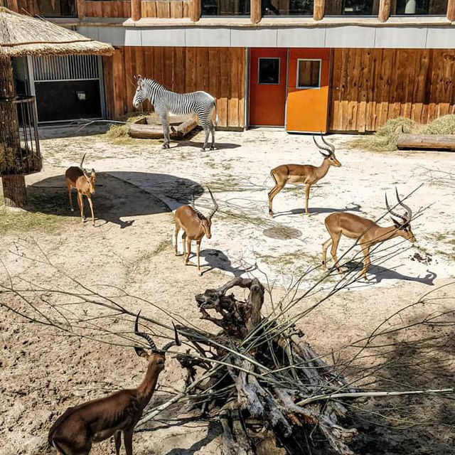Riga National Zoological Garden 🗺️