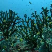 INDONESIA - more than just Bali