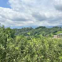 Asolo, A true taste of the Real Italy 