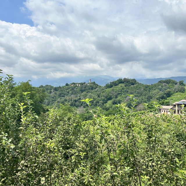 Asolo, A true taste of the Real Italy 