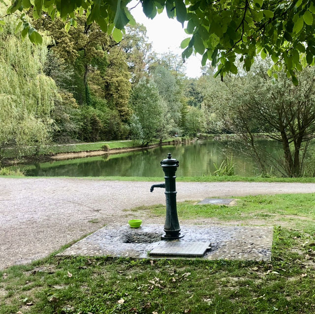 Poking Around in Maksimir Park
