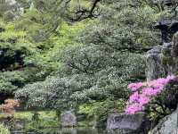 The Kyoto Imperial Palace (京都御所, Kyōto Gosho)