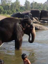 Morning by the Tungabhadra River in Hampi