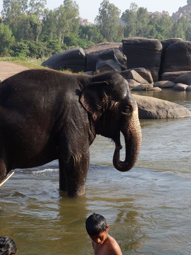 Morning by the Tungabhadra River in Hampi