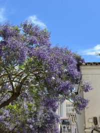 Magic Malaga in May