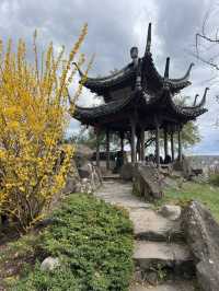 Discover Tranquility: A Hidden Gem in Stuttgart's Chinese Gardens