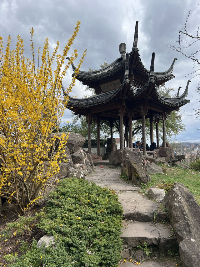Discover Tranquility: A Hidden Gem in Stuttgart's Chinese Gardens