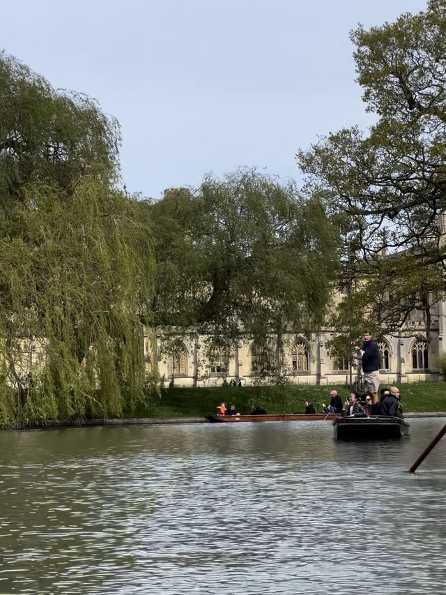 Academic Weapon in Her Soft Girl Era in Cambridge