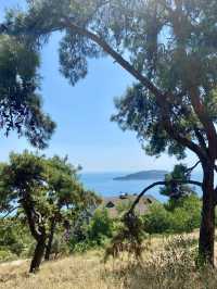 Another hidden gem in Istanbul! Büyükada🇹🇷