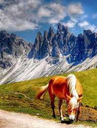 Dolomites: All seasons perfect destination!