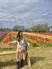 A day at Tulley’s Tulip Farm!🌷