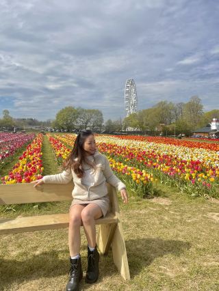 วันหนึ่งที่ฟาร์มทิวลิปของ Tulley!🌷