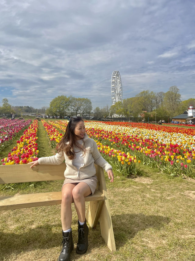 A day at Tulley’s Tulip Farm!🌷