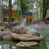 Beijing Wildlife Park from Daxing airport