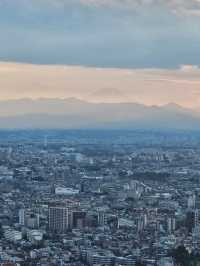 Tokyo From Above, For Free!