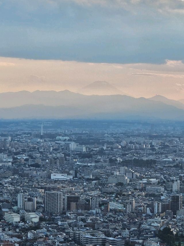 Tokyo From Above, For Free!