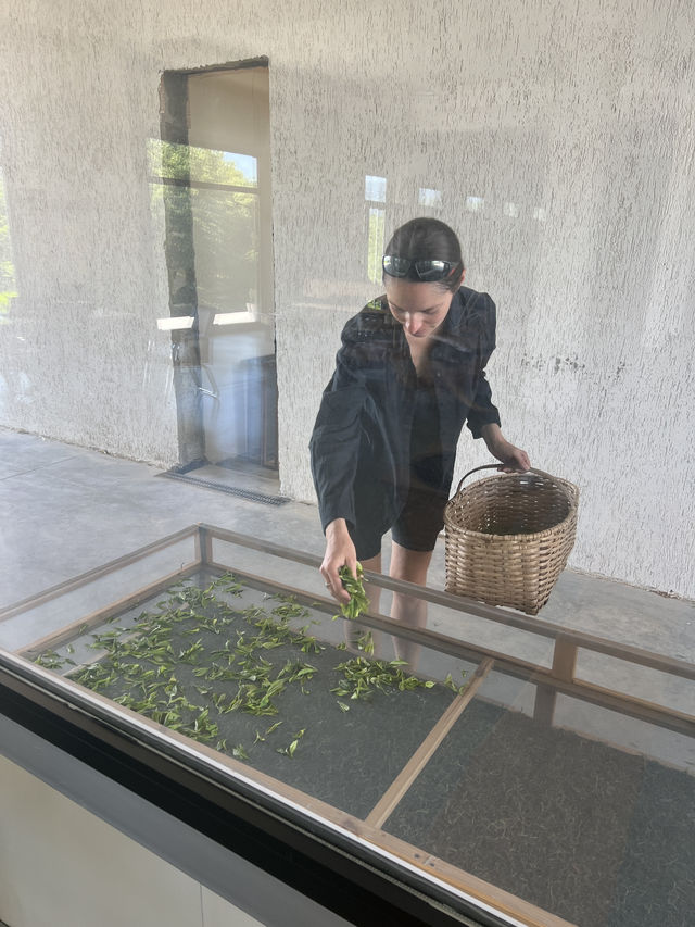 Making your own tea in Georgia