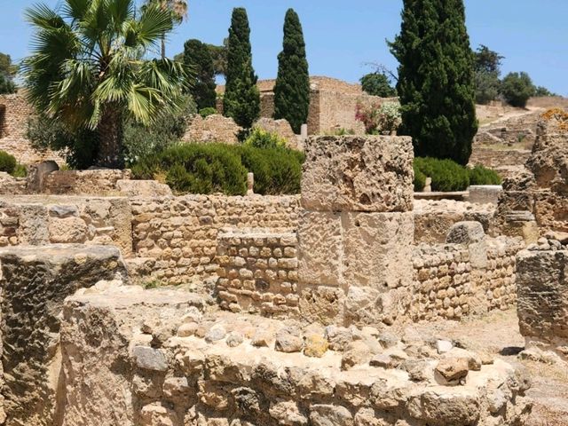 Carthage - Roman Ruins of Tunis,Tunisia