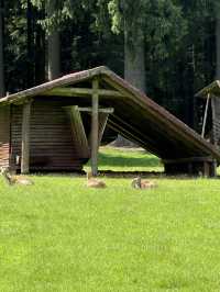 Mariánské Lázně: A Peaceful Escape for the Soul