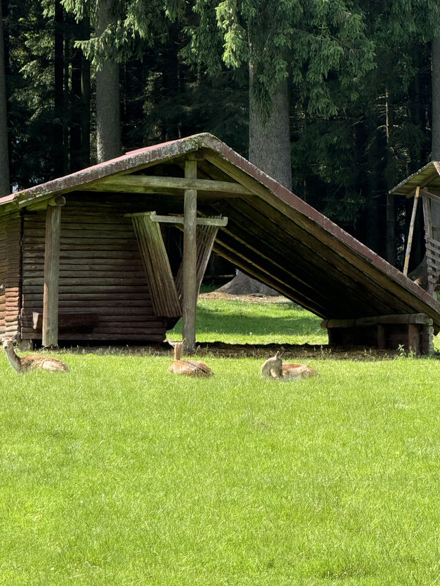 Mariánské Lázně: A Peaceful Escape for the Soul
