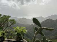 🌿 Parque Rural de Anaga: Tenerife’s Enchanted Forest 🌱✨