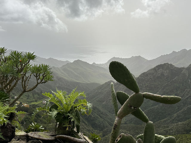 🌿 Parque Rural de Anaga: Tenerife’s Enchanted Forest 🌱✨